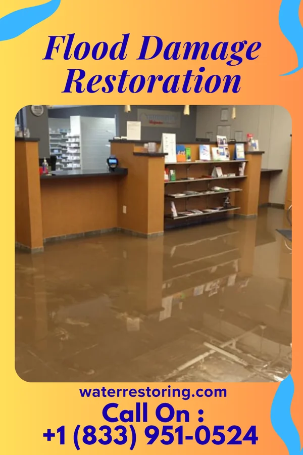 Flood Damage Restoration in Morgan City, MS