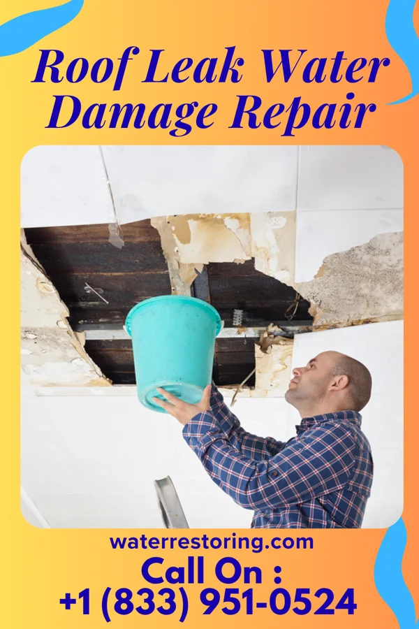 Roof Leak Water Damage Repair in Morgan City, MS
