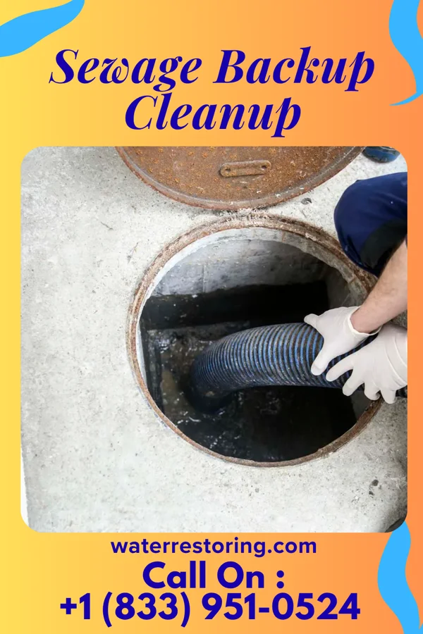 Sewage Backup Cleanup in Morgan City, MS